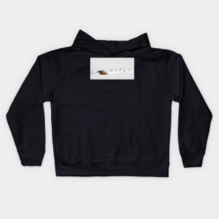 Ptarmigans, Churchill, Canada Kids Hoodie